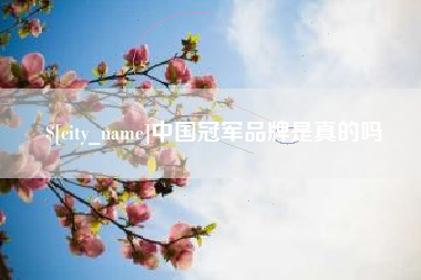 盐城中国冠军品牌是真的吗