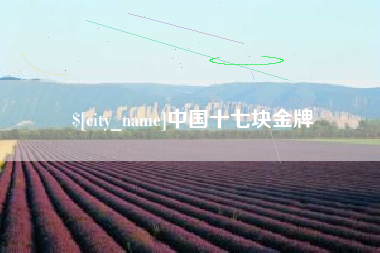 盐城中国十七块金牌