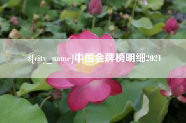 盐城中国金牌榜明细2021