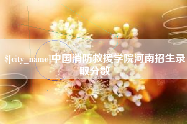 盐城中国消防救援学院河南招生录取分数