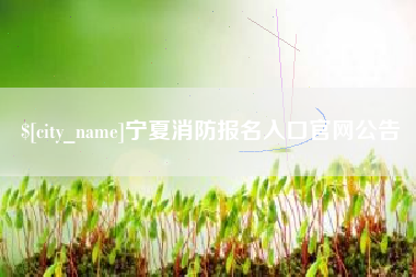 盐城宁夏消防报名入口官网公告