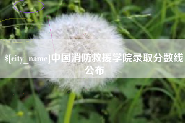 盐城中国消防救援学院录取分数线公布