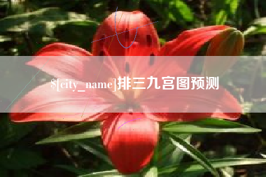 盐城排三九宫图预测