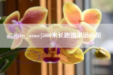盐城5000米长跑国家运动员