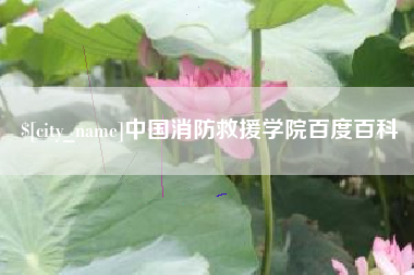 盐城中国消防救援学院百度百科
