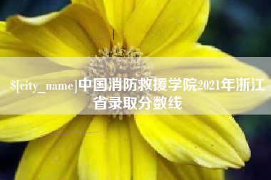 盐城中国消防救援学院2021年浙江省录取分数线