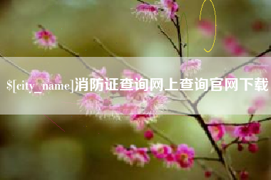盐城消防证查询网上查询官网下载