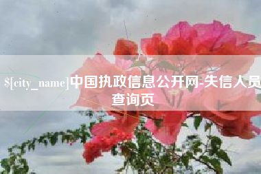 盐城中国执政信息公开网-失信人员查询页
