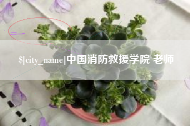 盐城中国消防救援学院 老师