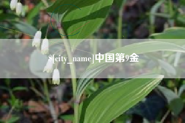 盐城中国第9金