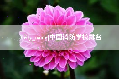 盐城中国消防学校排名
