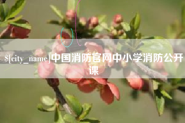 盐城中国消防官网中小学消防公开课