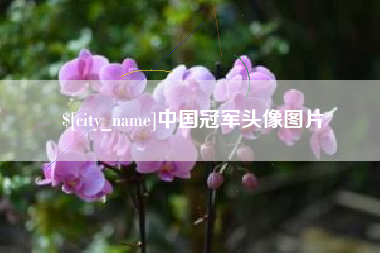 盐城中国冠军头像图片