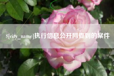 盐城执行信息公开网查到的案件