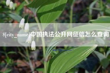 盐城中国执法公开网征信怎么查询