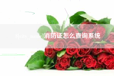 盐城消防证怎么查询系统