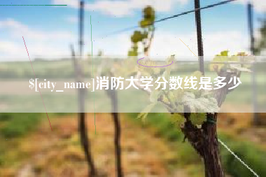 盐城消防大学分数线是多少