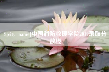 盐城中国消防救援学院2019录取分数线