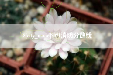 盐城2021消防分数线