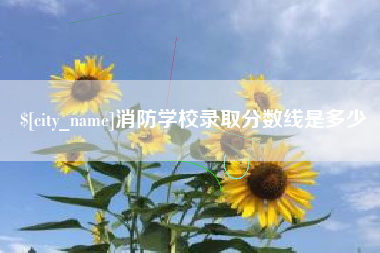 盐城消防学校录取分数线是多少