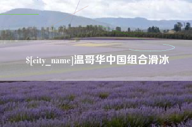 盐城温哥华中国组合滑冰