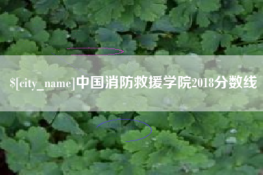 盐城中国消防救援学院2018分数线