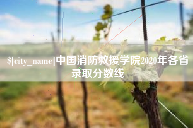 盐城中国消防救援学院2020年各省录取分数线