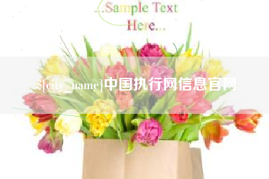 盐城中国执行网信息官网