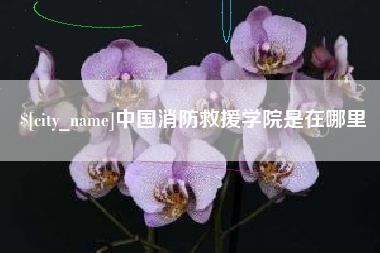 盐城中国消防救援学院是在哪里