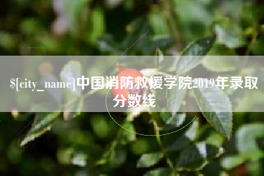 盐城中国消防救援学院2019年录取分数线