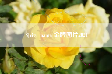 盐城金牌图片2021