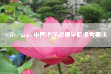 盐城中国消防救援学院报考要求