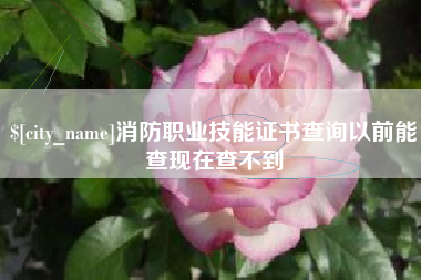 盐城消防职业技能证书查询以前能查现在查不到