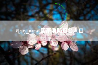 盐城国家消防报名入口