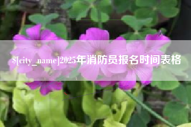 盐城2025年消防员报名时间表格