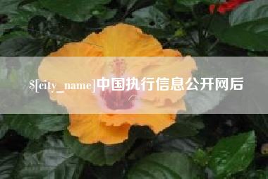 盐城中国执行信息公开网后