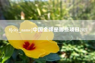 盐城中国金牌是哪些项目2021