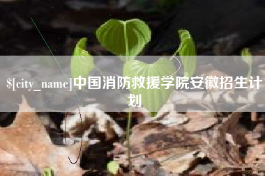 盐城中国消防救援学院安徽招生计划