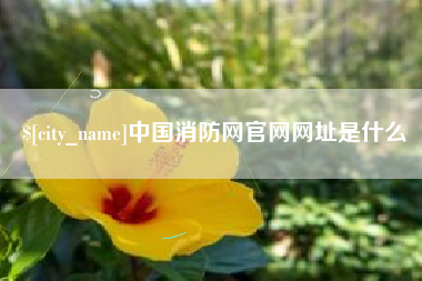 盐城中国消防网官网网址是什么