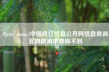 盐城中国执行信息公开网信息查询官网限消中查询不到