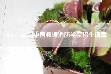 盐城中国救援消防学院招生简章