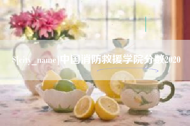 盐城中国消防救援学院分数2020