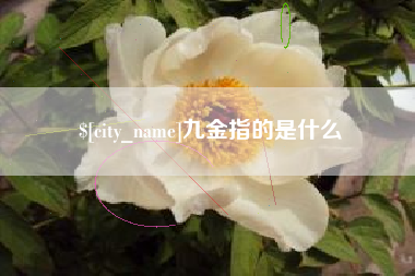 盐城九金指的是什么