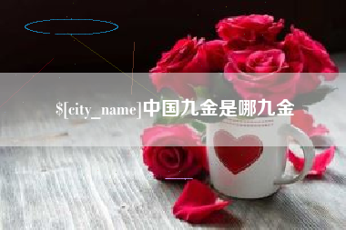 盐城中国九金是哪九金