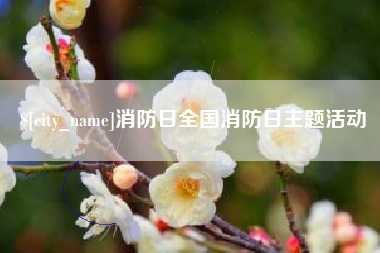 盐城消防日全国消防日主题活动