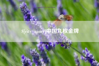 盐城中国九枚金牌