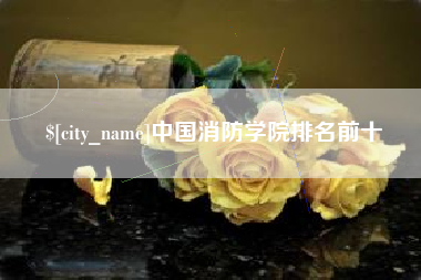 盐城中国消防学院排名前十