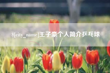 盐城王子豪个人简介乒乓球