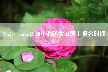 盐城2020年消防考试网上报名时间