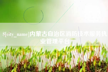 盐城内蒙古自治区消防技术服务执业管理平台